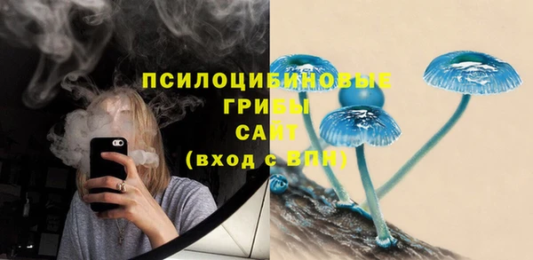 круглые Алексин