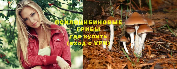 СК Алзамай